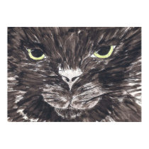 Black Cat posters