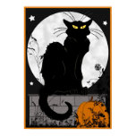 'Black Cat' Poster