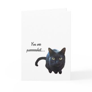 Black Cat Purrrfect Valentines Card
