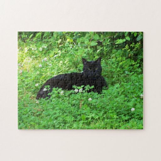 black cat puzzle