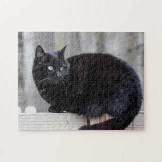 black cat puzzle