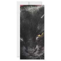 Black cat rack cards by OLANartist Black cat rack cards