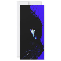 Black Cat rack cards