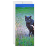 Black Cat rack cards