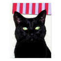 Black Cat / Red White Blue posters