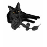 Black Cat, Rose