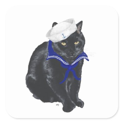 Cat Sailor