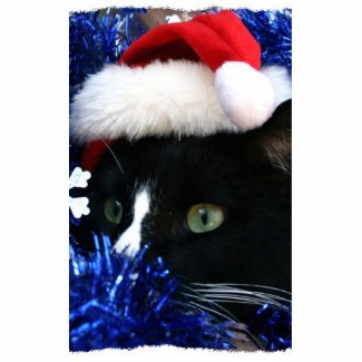 Black Cat, Santa hat, blue tinsel, ready to pounce Photo Cut Outs