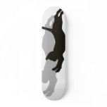 Black Cat Skate Boards