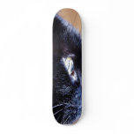 Black Cat Skateboard