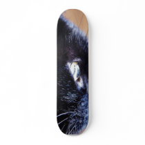 Black Cat skateboards