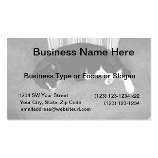 black cat sleeping on chair bw photo business card templates
