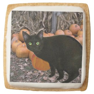 Black Cat Square Premium Shortbread Cookie