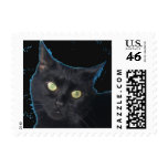 Black Cat Stamp