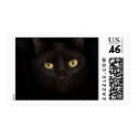 Black Cat Stamp