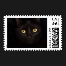 Black Cat Stamp