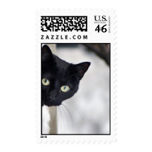 Black Cat Stamps
