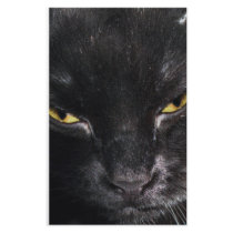 Black cat stationery