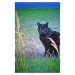 Black Cat Stationery Paper