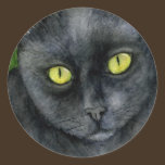 Black Cat Sticker stickers