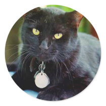Black Cat stickers