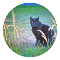 Black Cat stickers