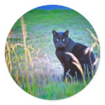 Black Cat Round Stickers