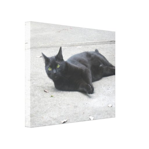 Black  Cat Stretched Canvas Print