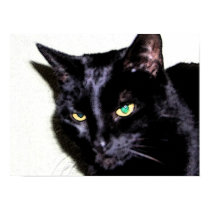 Black Cat Sumio posters