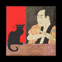 Black Cat Suprises Samuri magnets
