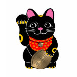 Black Cat Tee Shirts