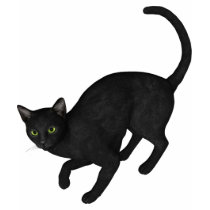 black cat t-shirts