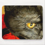 Black Cat usepad