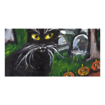 Black cat Vampire Halloween art photo cards