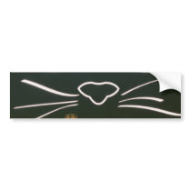 Black Cat Whiskers bumper stickers
