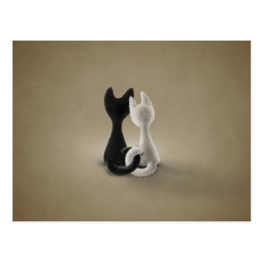 Black Cat White Cat (Color 3) Postcard