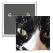 Black Cat, White Whiskers, Green Eyes Pin