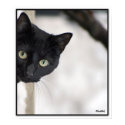 Black Cat - with border posters