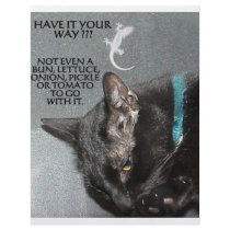 BLACK CAT WITH GECKO CUSTOM FLYER