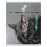 BLACK CAT WITH GECKO letterhead