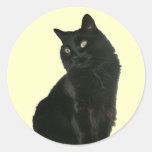 Black Cat with Golden Eyes Sticker