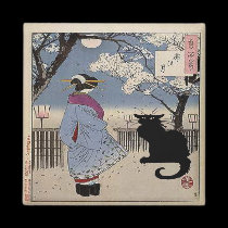 Black Cat With Japanese Lady magnets