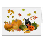 Black Cat with Pumpkins cards