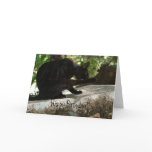 Black Cat Yoga Happy Birthday Greeting Card