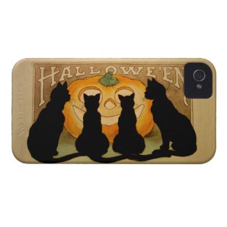 Black Cats and a Jack O�Lantern