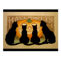 Black Cats and a Jack O'Lantern Post Cards