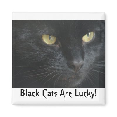 Black Cats Are Lucky! Magnet by patch57