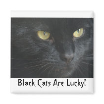Black Cats Are Lucky! Magnet by patch57 Black Cats Are Lucky! Magnet