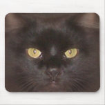 black cats eyes mouse mats