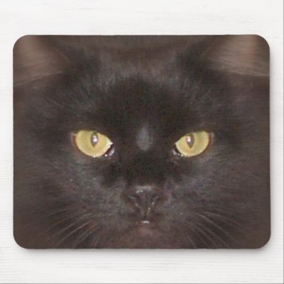 black cat eyes. lack cats eyes mouse mats by